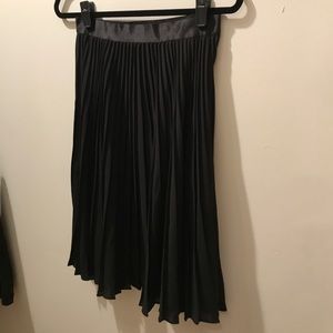 Express Skirt